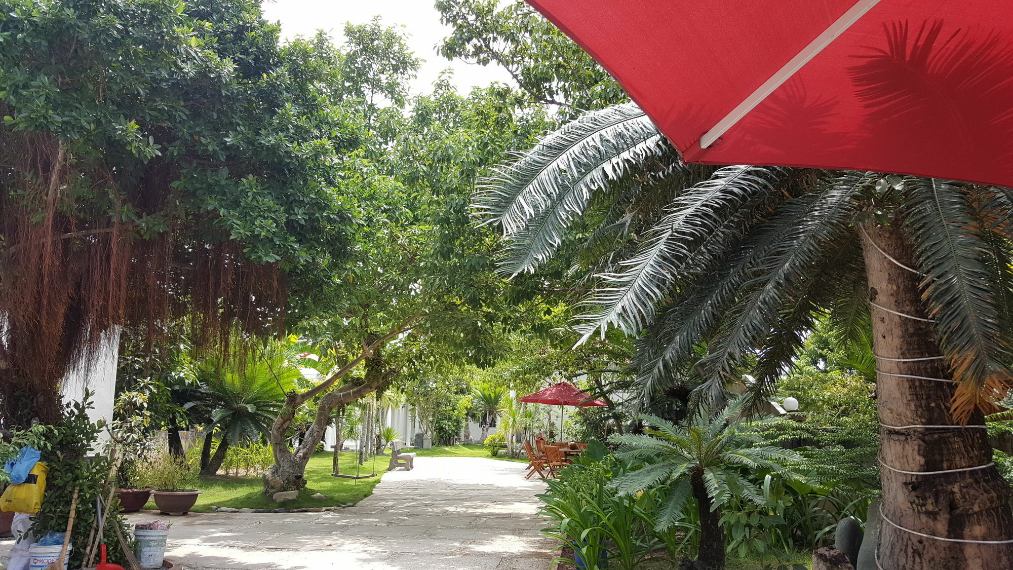 Dragon Bay Hotel Cam Lam Exterior photo